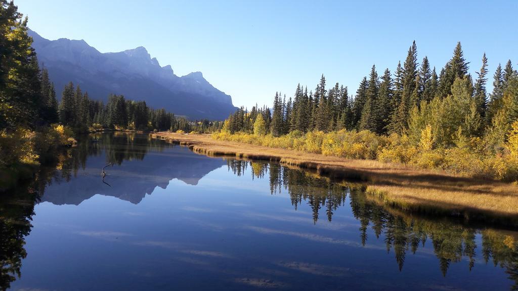 The Howling Wolf * Canmore